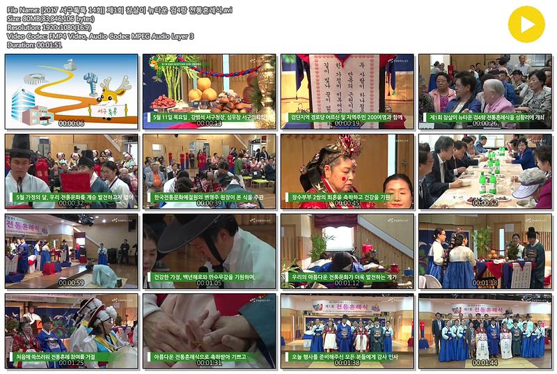 [2017 서구톡톡 14회] 제1회 참살이 뉴타운 검4랑 전통혼례식 사진